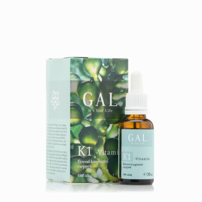 GAL K1-vitamin (480 adag)